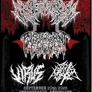Pustulant Flesh @ UnderWerket