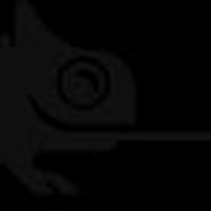 Tom Lee Band Tickets, Tour Dates and Concerts