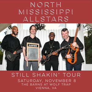 North Mississippi Allstars Tickets, Tour Dates and Concerts