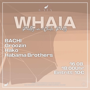 Bachi @ Gaia