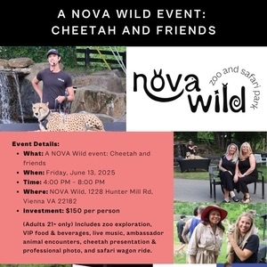 Melissa Quinn Fox Music @ NOVA Wild
