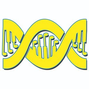 Double Helix, a Steely Dan tribute band @ Private Party - Atlanta