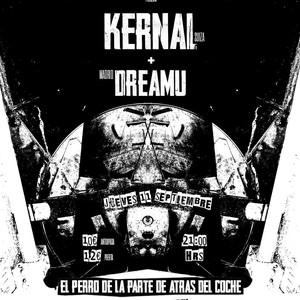 Dreamu @ El Perro de la Parte de Atrás del Coche