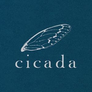 Cicada @ BelloBar