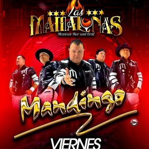 Grupo Mandingo Tickets, Tour Dates and Concerts