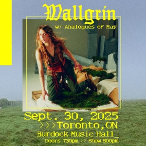 Wallgrin @ Burdock Music Hall