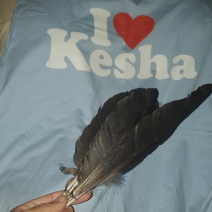 Kesha at Inglewood, CA in Kia Forum 2025