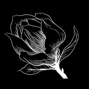 Magnolia Noir Tickets, Tour Dates and Concert
