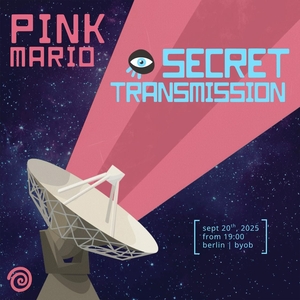 Pink Mario @ Prenzlauer Berg Secret Location