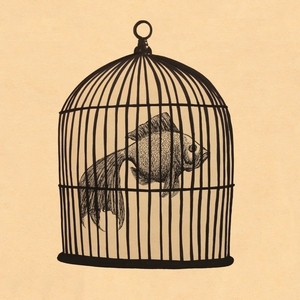 Fish In A Birdcage Tickets, Tour Dates and Concerts