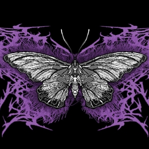 Campaign of Misinformation @ Paardcafé