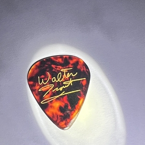 Walter Trout at undefined in undefined 2025
