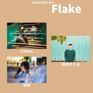 Coleus @ navey floor (ネイビーフロアー)