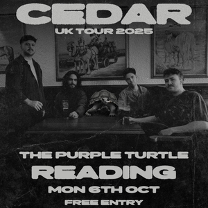 cedar @ Purple Turtle