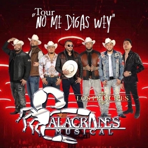 Alacranes Musical Tickets, Tour Dates and Concerts