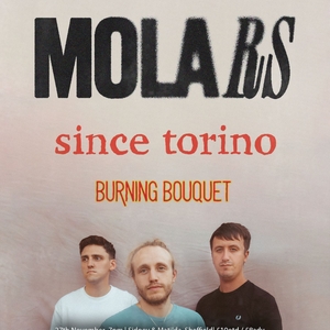 MOLARS Tickets, Tour Dates and Concerts