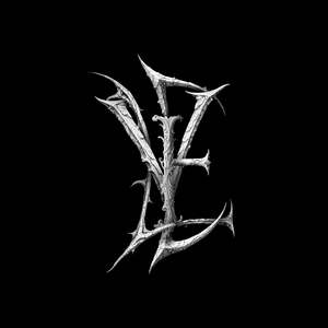 VEIL @ Loop