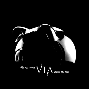 VIA (Official) Tickets, Tour Dates and Concerts