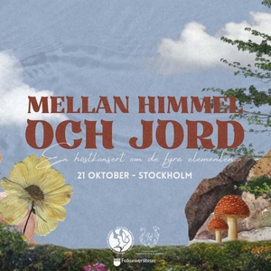 Stockholms Akademiska Damkör @ Adolf Fredriks Församling