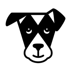 The Dogist Tickets, Tour Dates and Concerts