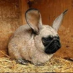 k1n1ch Tickets, Tour Dates and Concerts