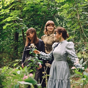 The Willow Trio @ The Hug and Pint