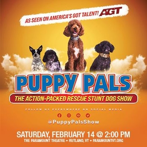 Puppy Pals Live Tickets, Tour Dates and Concerts