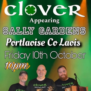 Clover Rebel Band @ The Sally Gardens portlaoise