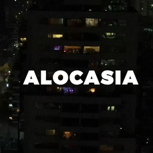 POLYSWITCH @ Alocasia