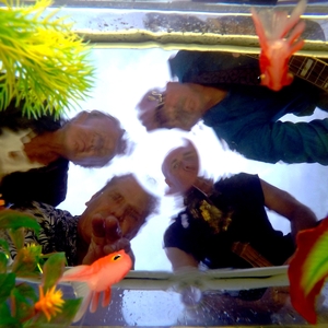 Jack Molton Distortion @ Heroes Music Bar