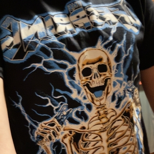 The Offspring at Kaunas, Lithuania in Žalgiris arena 2025