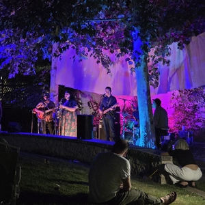 dem roots music at Houston, TX in Mandell Park 2025