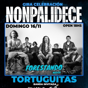 Nonpalidece - ForestDan, 8 de diciembre, 2025