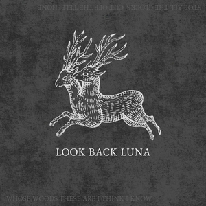 Look Back Luna Tickets, Tour Dates and Concert