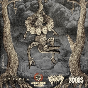 container of fools Tickets, Tour Dates and Concerts