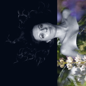 Ingressos, Datas da Turnê e Shows de Adele Pardi