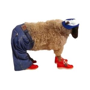 Support Local: How Norwich Community Businesses are Thriving Together