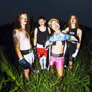 Pollyanna Tickets, Tour Dates and Concert