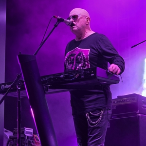 A Flock of Seagulls at St. Petersburg, FL in Ferg's Sports Bar & Grill 2025