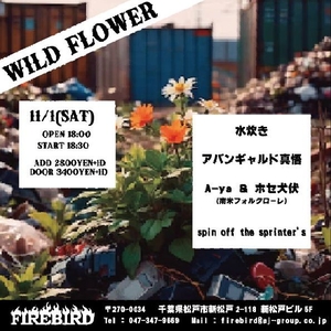 Mizutaki 水炊き Tickets, Tour Dates and Concerts