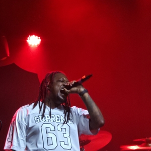 Magnolia Park at Albany, NY in Empire Live 2025