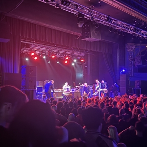 Swans at undefined in undefined 2025