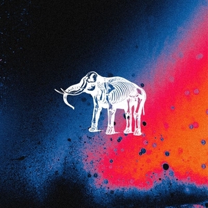 Elephant Sessions @ Usher Hall