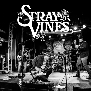 Stray Vines Tickets, Tour Dates and Concert