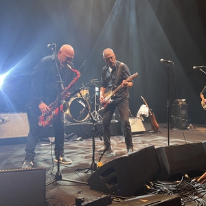 The Black Sorrows at undefined in undefined 2025
