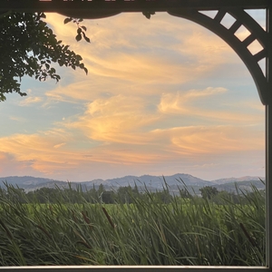 Clay Bell Live @ Silverado Resort