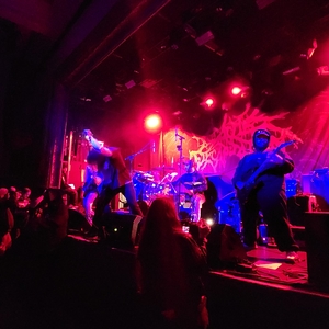 Tribal Gaze at Brooklyn, NY in Warsaw 2025