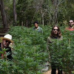 The Coffis Brothers @ The Triple Door