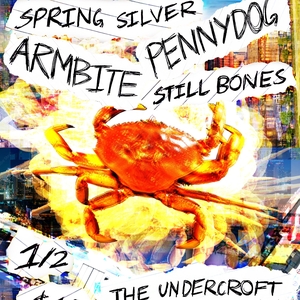 Still Bones @ The Undercroft