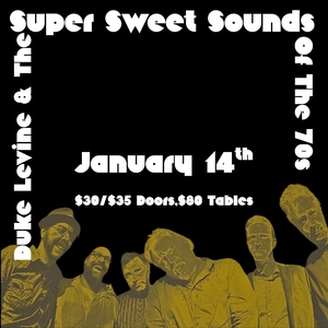 Duke Levine @ Lizard Lounge